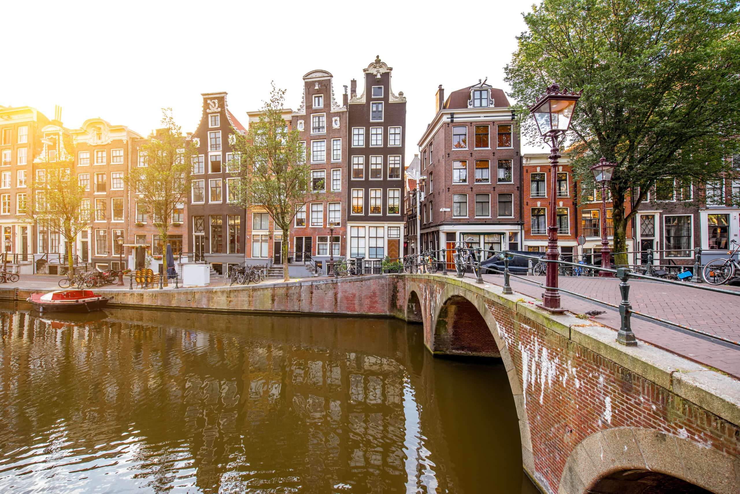 zwambestrijding amsterdam