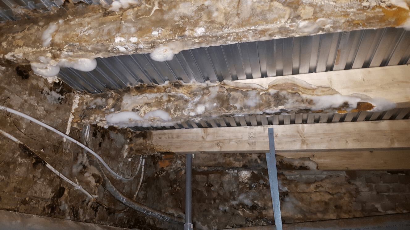 Afbeelding van zwamaanslag op hout, waarbij de schade door houtrot duidelijk zichtbaar is.
